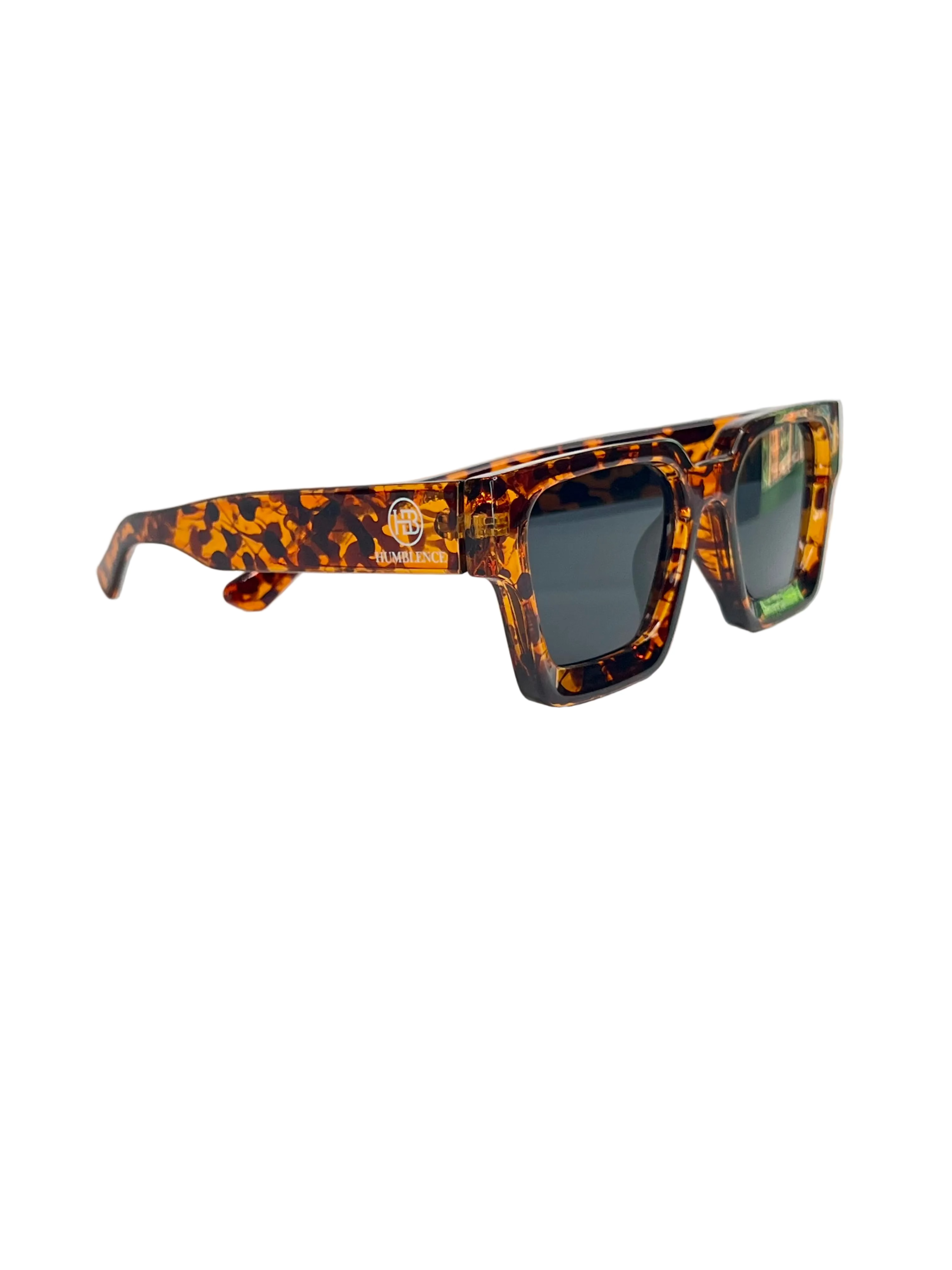 Gafas de sol de humildad feroz